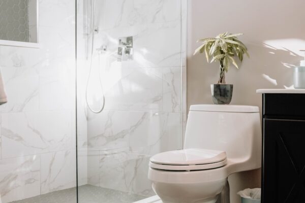 white ceramic toilet bowl beside white ceramic toilet bowl